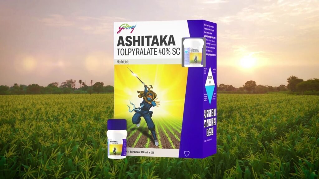 अशिताका (Ashitaka) के साथ अपनी मक्के की फसल को सुरक्षित रखने का यही सही समय है